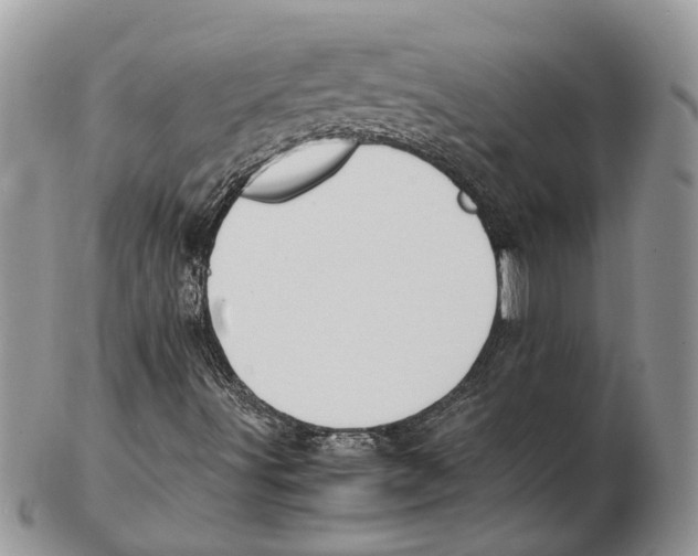 X0000102261491200808221403
