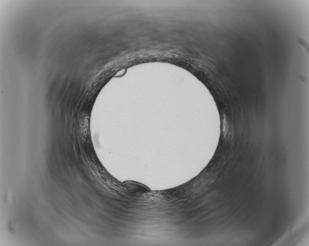 X0000102261492200808221403