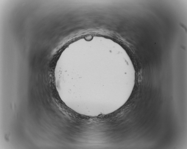 X0000102261496200808221403