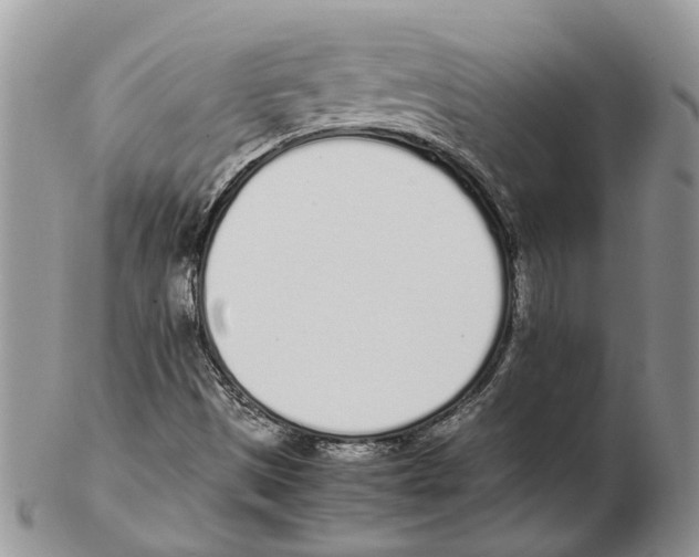 X0000102261497200808221403