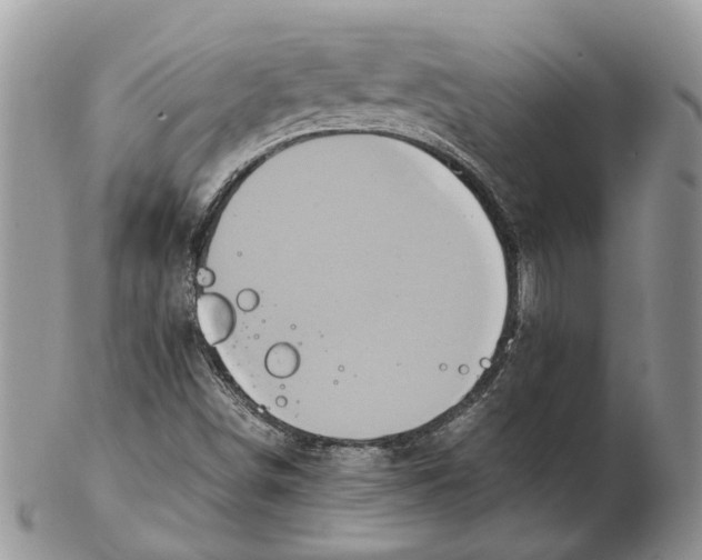 X0000102261498200808221403