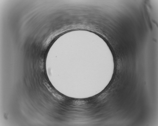 X0000102261499200808221403