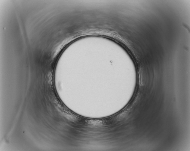 X0000102261501200808221403