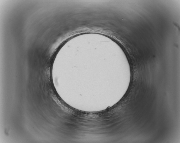 X0000102261503200808221403