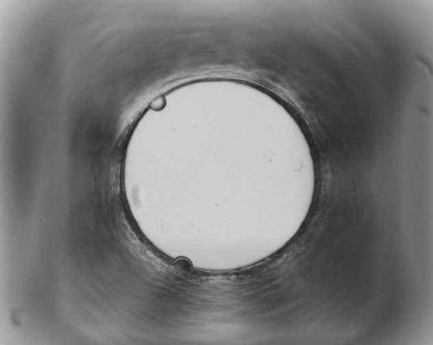 X0000102261504200808221403