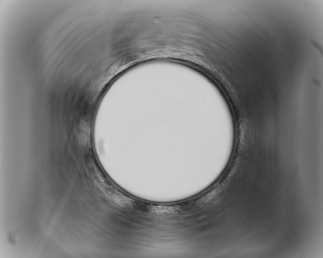 X0000102261505200808221403