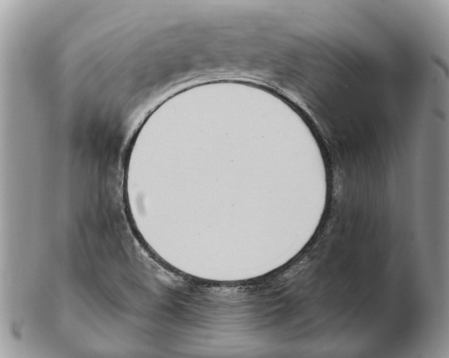 X0000102261508200808221403
