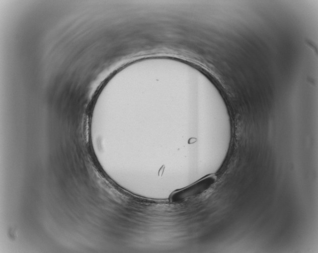 X0000102261510200808221403