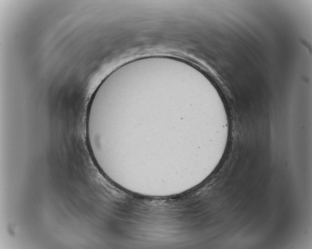 X0000102261512200808221403