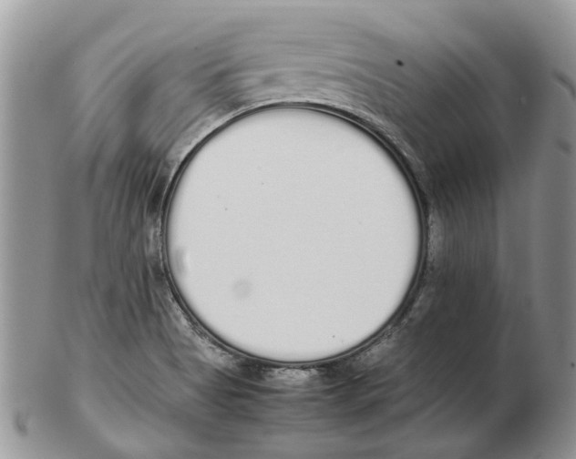 X0000102261513200808221403