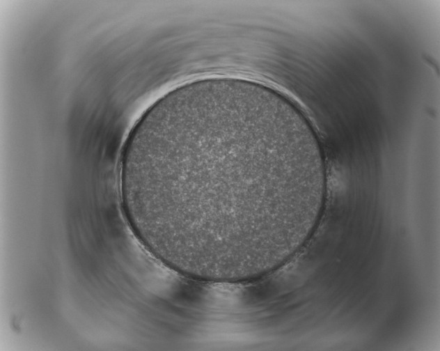 X0000102261514200808221403