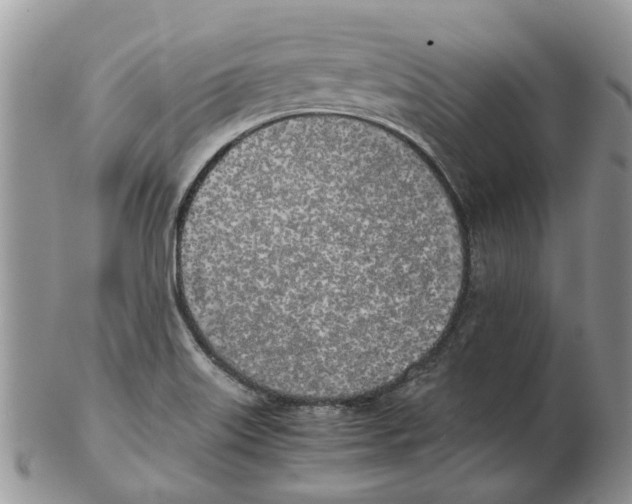 X0000102261515200808221403