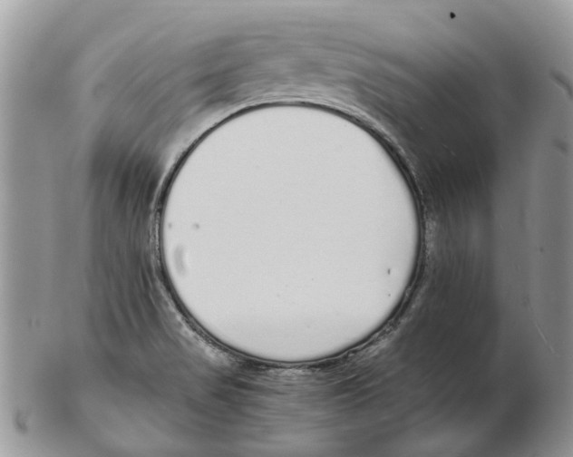 X0000102261517200808221403