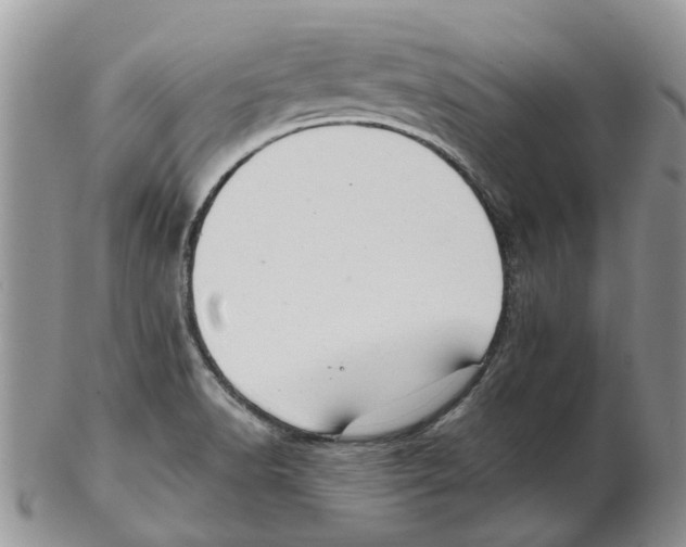 X0000102261518200808221403