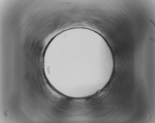 X0000102261519200808221403