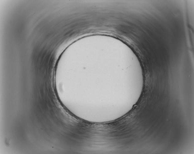 X0000102261520200808221403