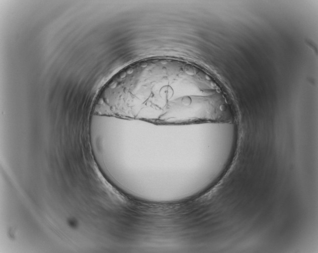 X0000102261521200808221403