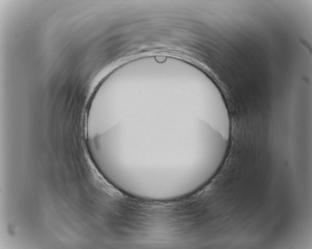 X0000102261522200808221404