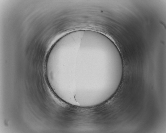 X0000102261523200808221404