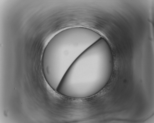X0000102261524200808221404