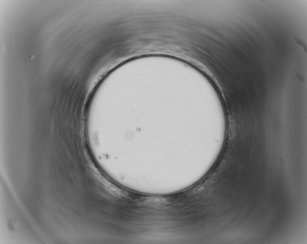 X0000102261525200808221404