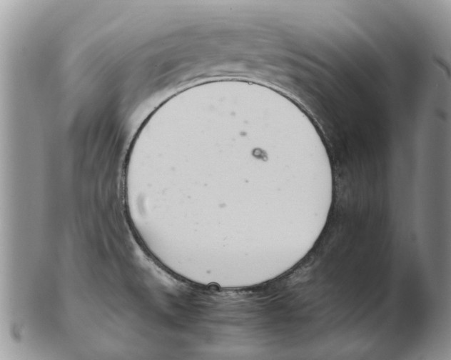 X0000102261527200808221404