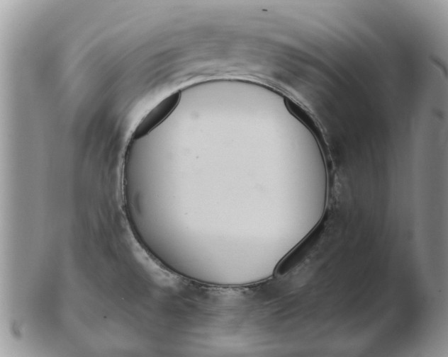 X0000102261528200808221404