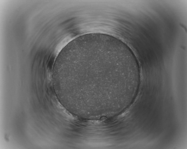 X0000102261529200808221404