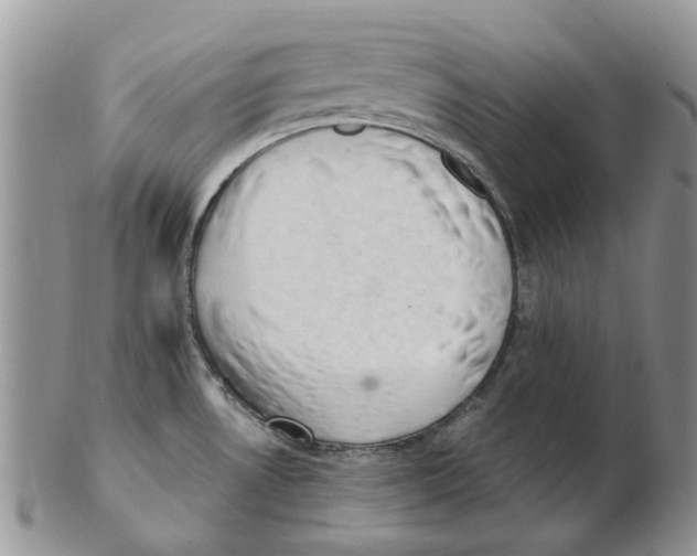 X0000102261530200808221404