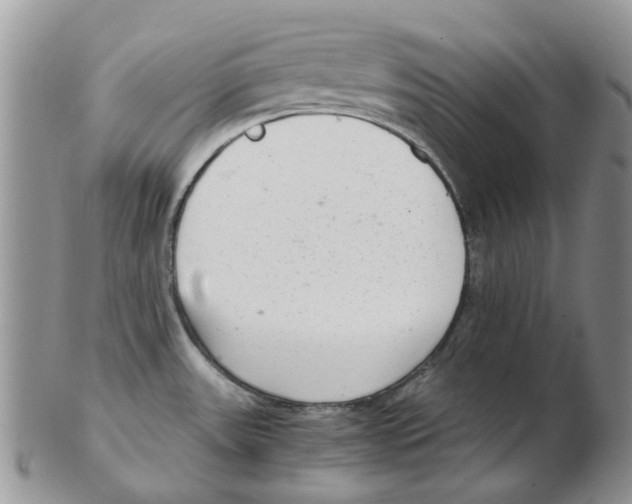 X0000102261531200808221404