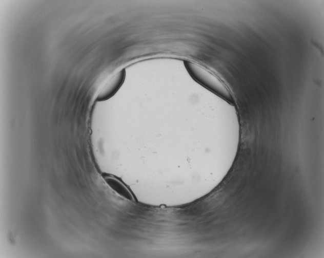 X0000102261532200808221404