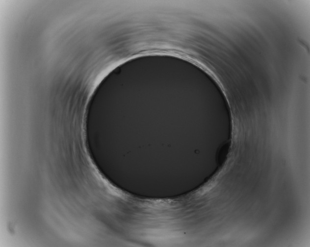 X0000102261533200808221404