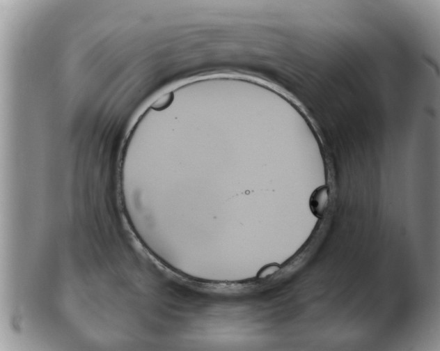 X0000102261534200808221404