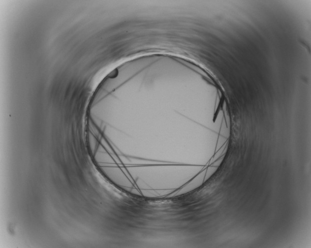 X0000102261535200808221404