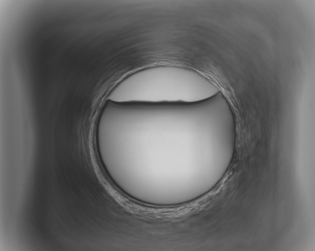 X0000102270001200807250907
