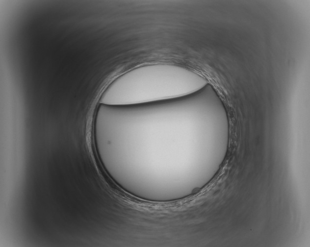 X0000102270003200807250907