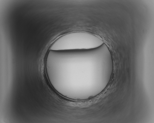 X0000102270005200807250907