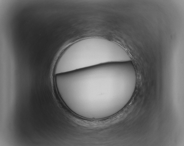 X0000102270006200807250907