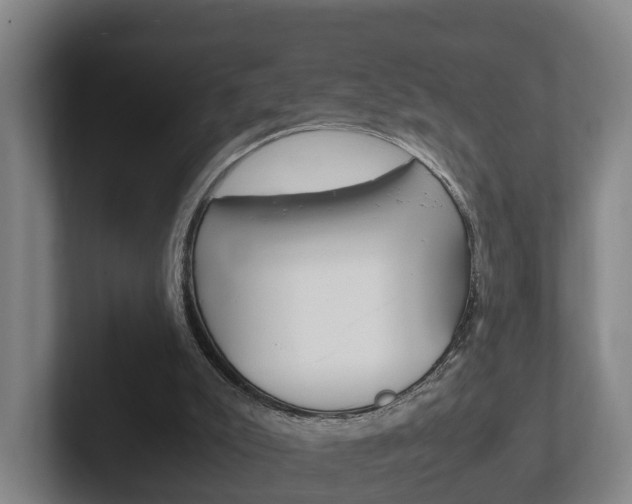 X0000102270007200807250907