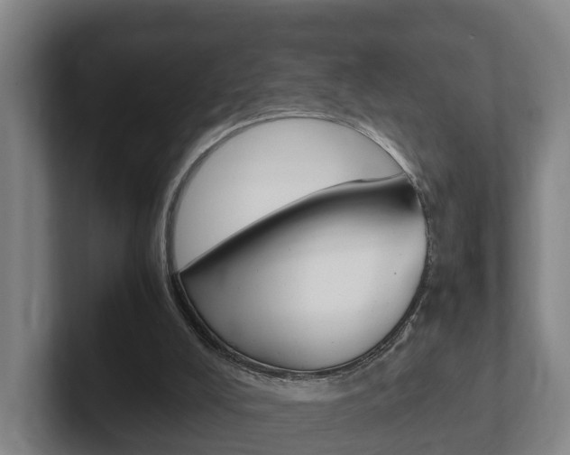 X0000102270008200807250907