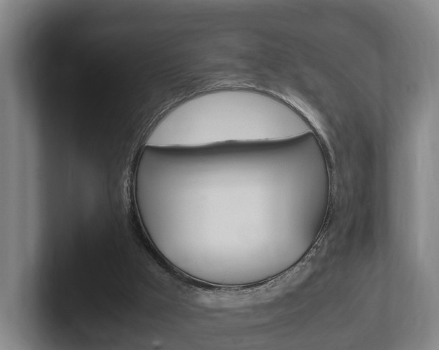 X0000102270009200807250907