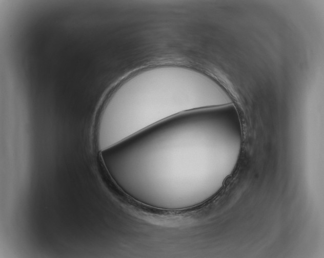 X0000102270012200807250907