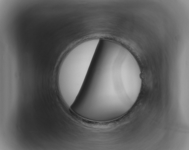 X0000102270016200807250907