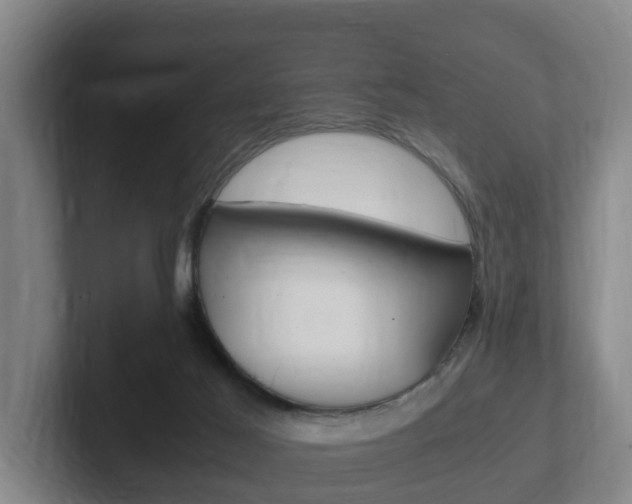 X0000102270021200807250907