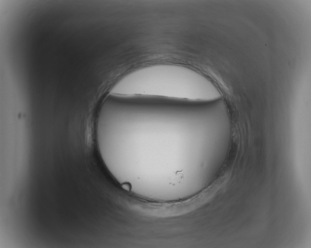 X0000102270023200807250907