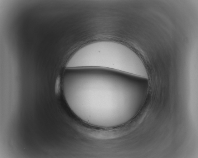 X0000102270024200807250907