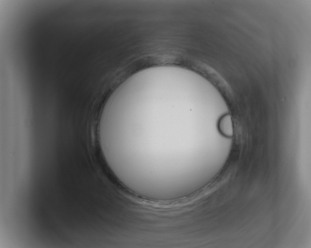 X0000102270026200807250907