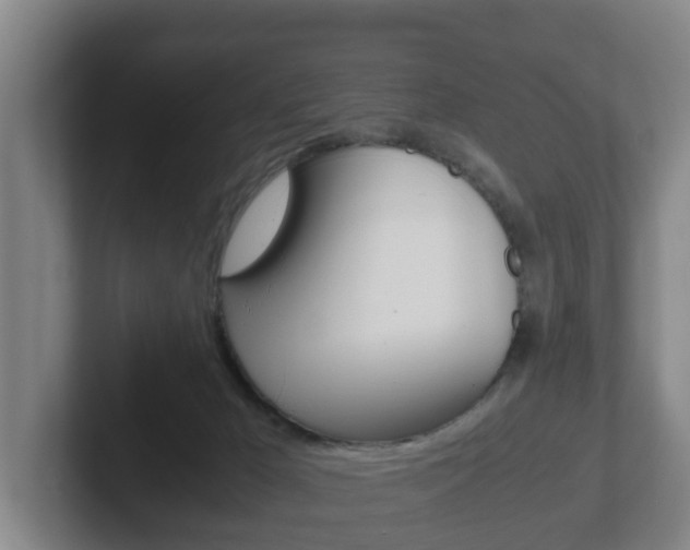 X0000102270029200807250906