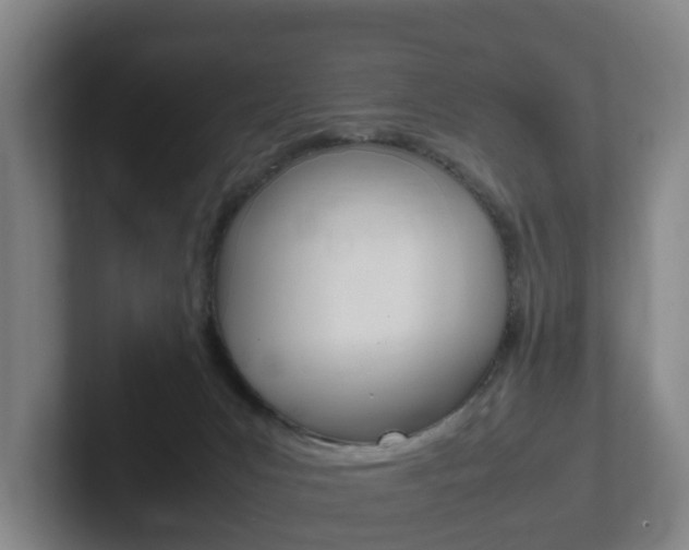 X0000102270031200807250906
