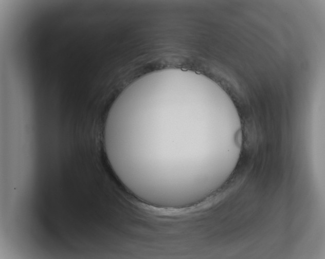 X0000102270034200807250906